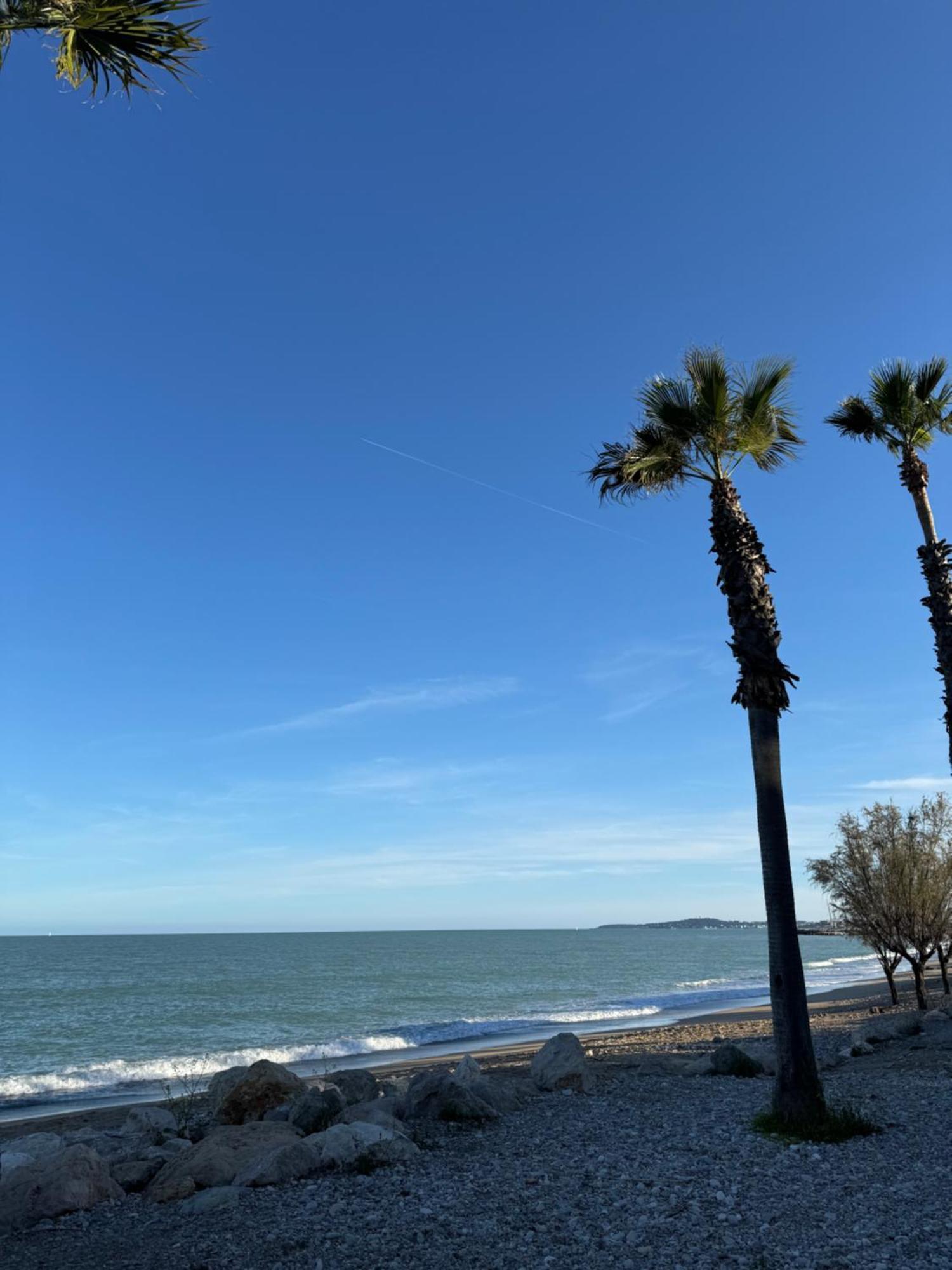 L'Appart Ideal Famille, Terrasse, Piscine, Plage Villeneuve-Loubet Dış mekan fotoğraf
